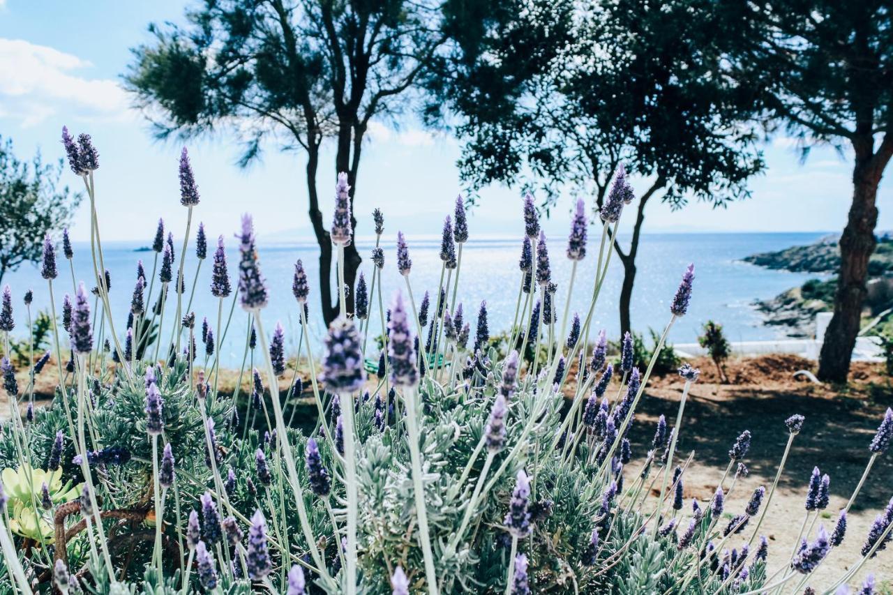 The Elaia House Mykonos Villa Ornos  Ngoại thất bức ảnh